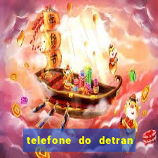 telefone do detran de santos